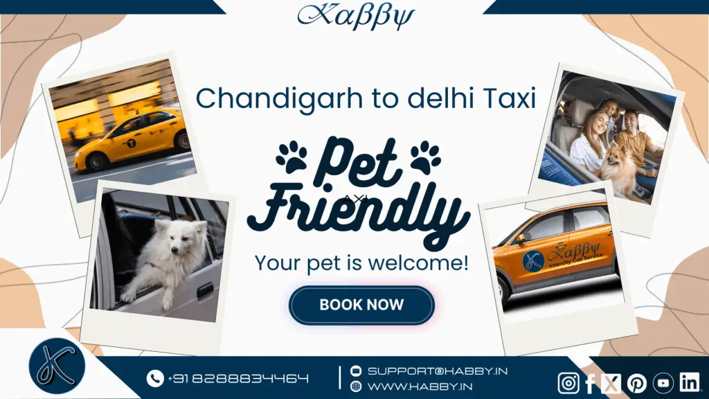Discover the Best Pet-Friendly Taxi from Chandigarh to Delhi 1 Pet Friendly Taxi Chandigarh to Delhi