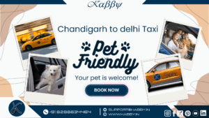 Pet Friendly Taxi Chandigarh to Delhi