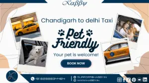 Pet Friendly Taxi Chandigarh to Delhi