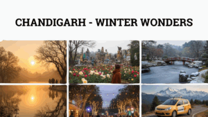 Top Places to Visit in Chandigarh